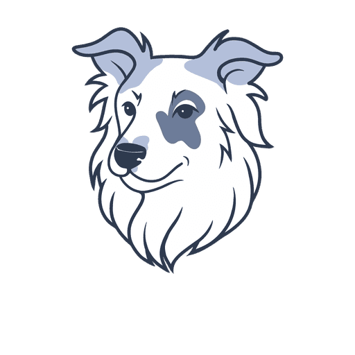CodeCollie